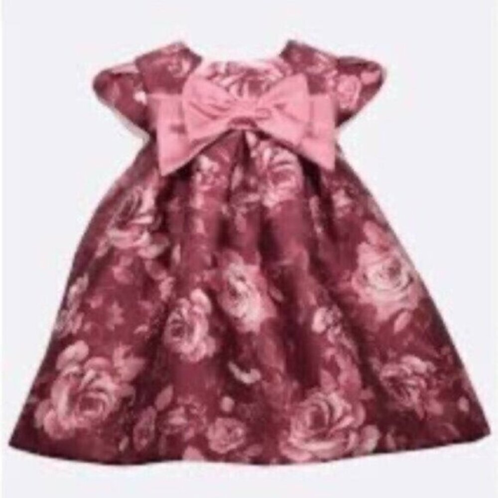 Bonnie Baby Baby Girl Mauve Pink Fancy Dress 18M